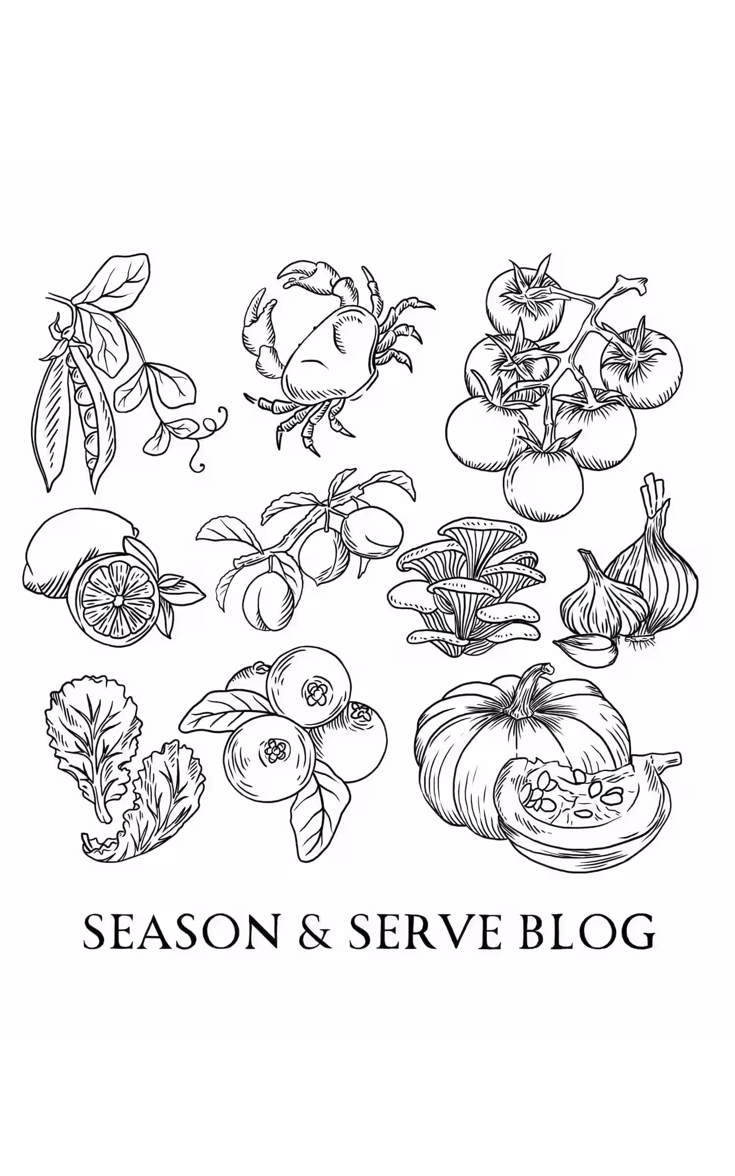 Assorted herbs and seasonings