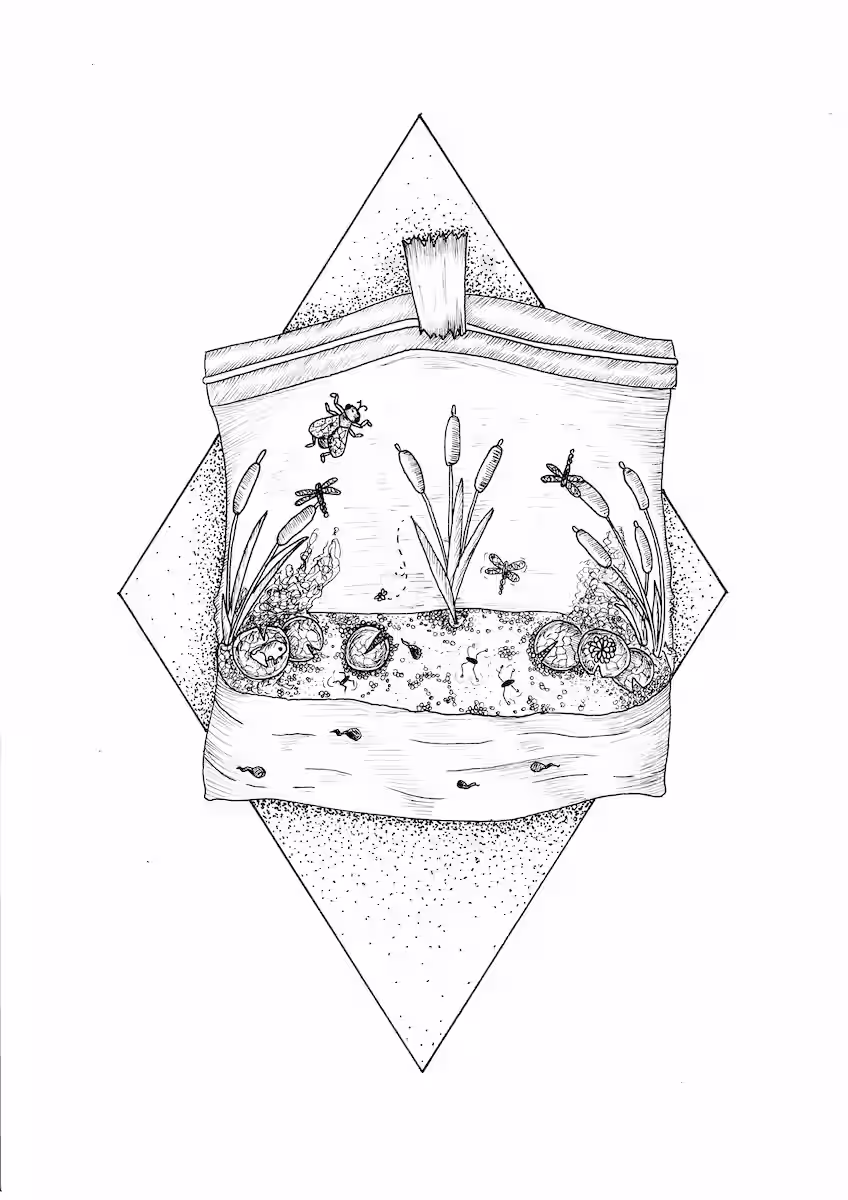 Pond in a zip bag